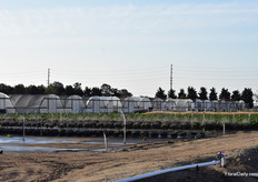 At the Grolink site, the way towards the CAST trial location. 